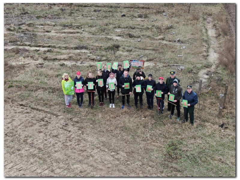 DJI 0437