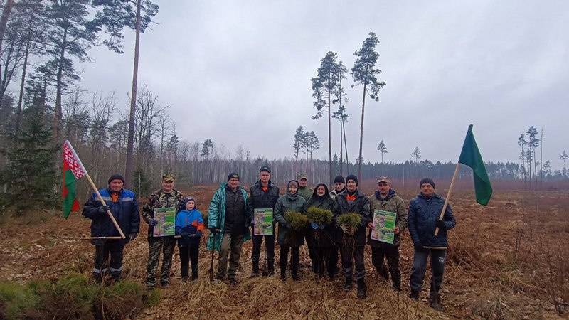 photo 2024 03 26 08 59 10