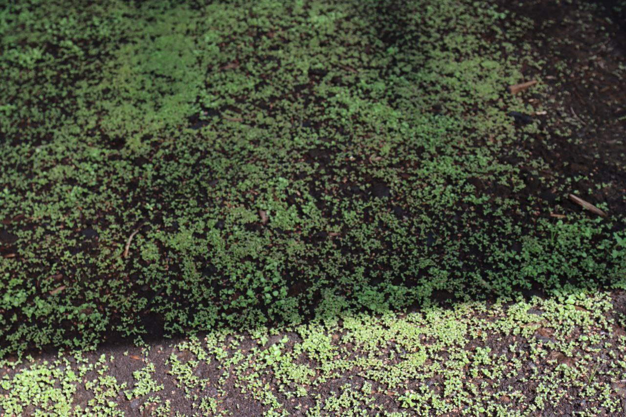 photo 2024 05 31 09 16 11