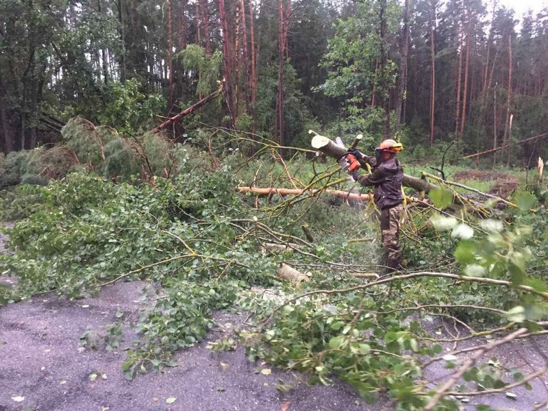 photo 2024 07 18 10 43 38