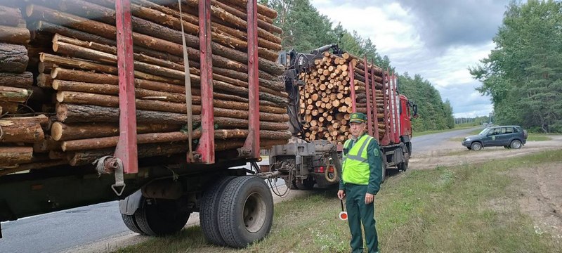 photo 2024 08 16 08 54 06