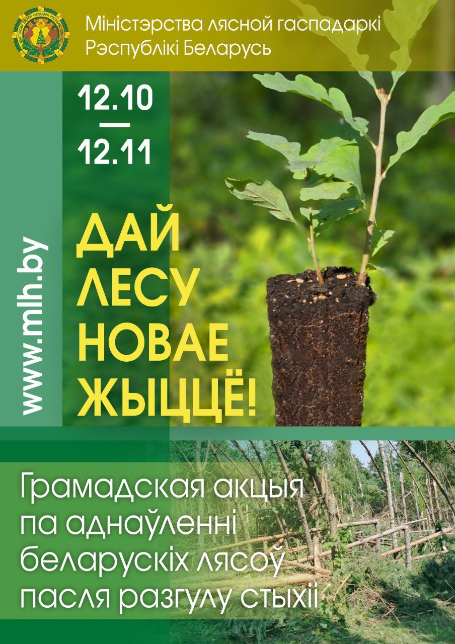 photo 2024 10 02 09 30 34