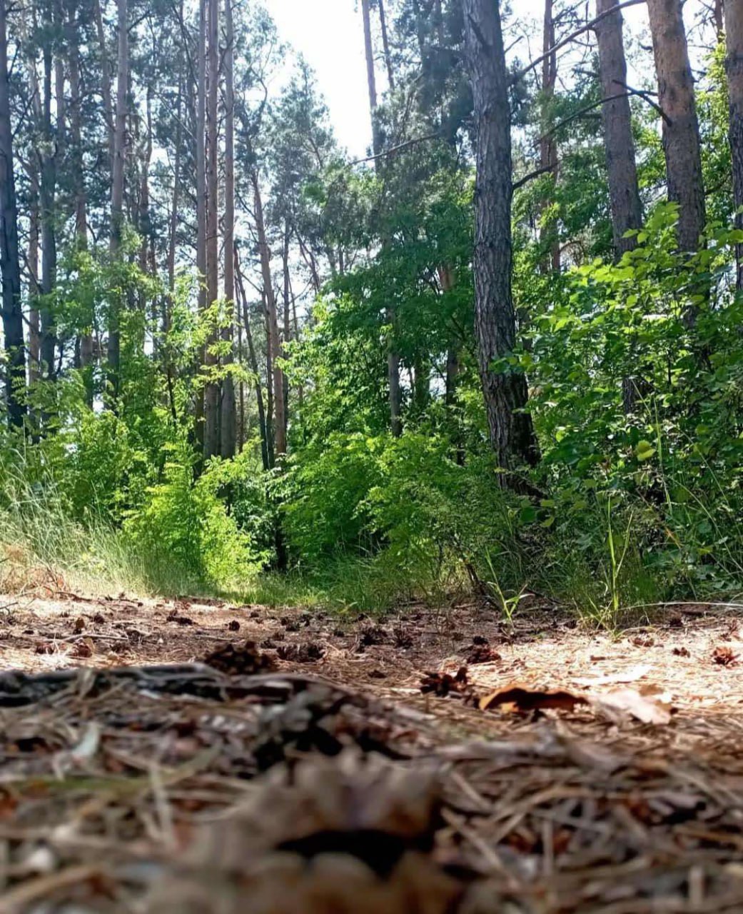 photo 2025 03 19 16 33 08