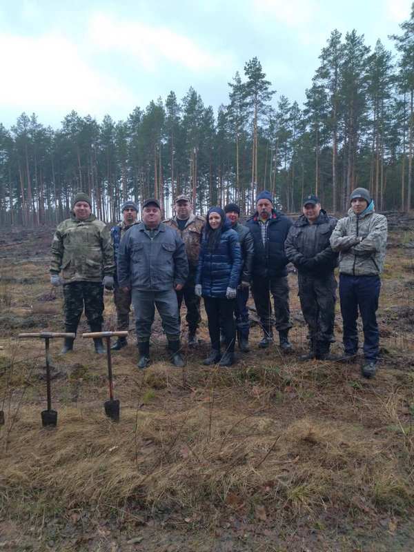 Коллектив лесопункта
