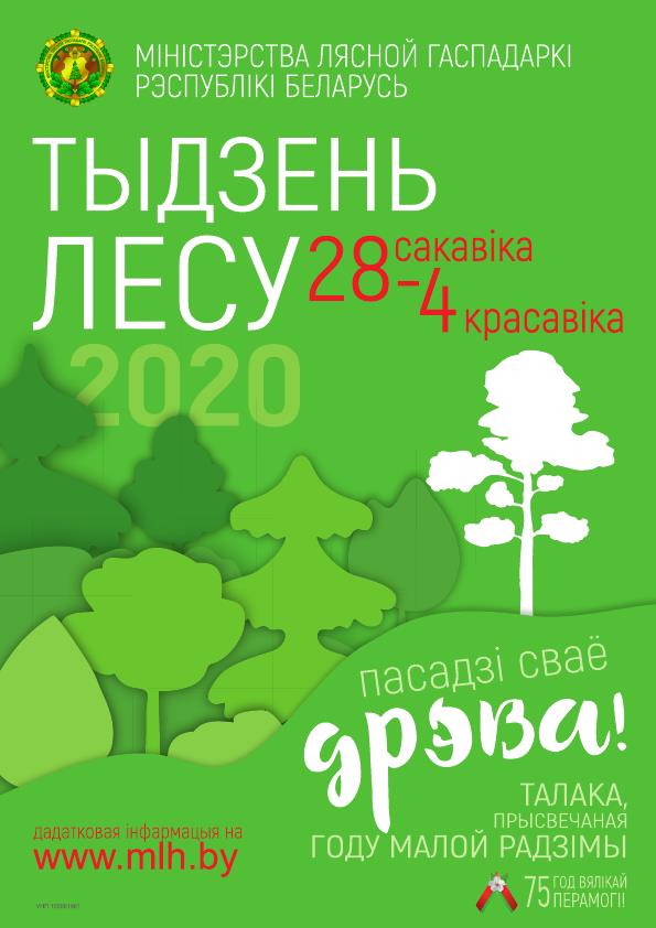 Фото неделя леса