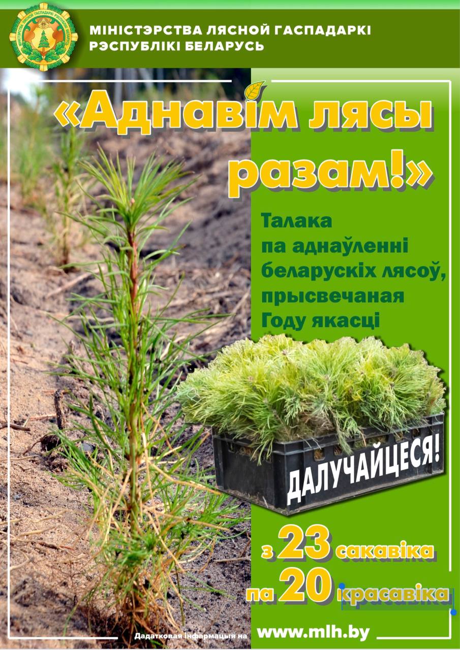 акция