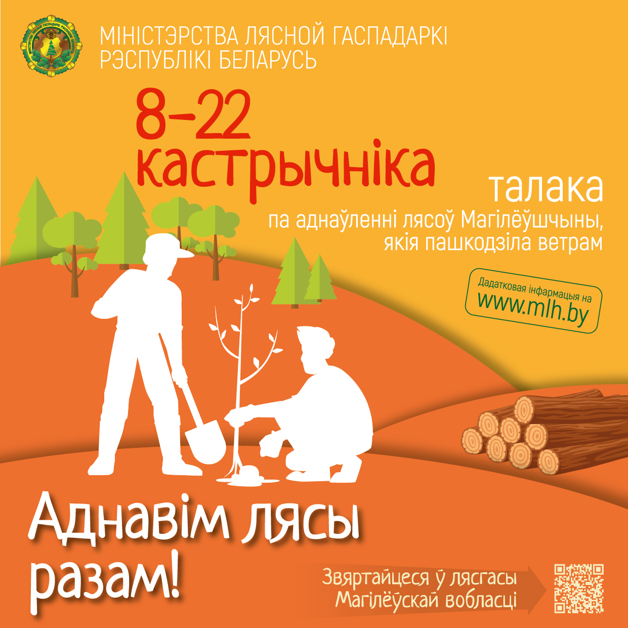 буреломы веб 03