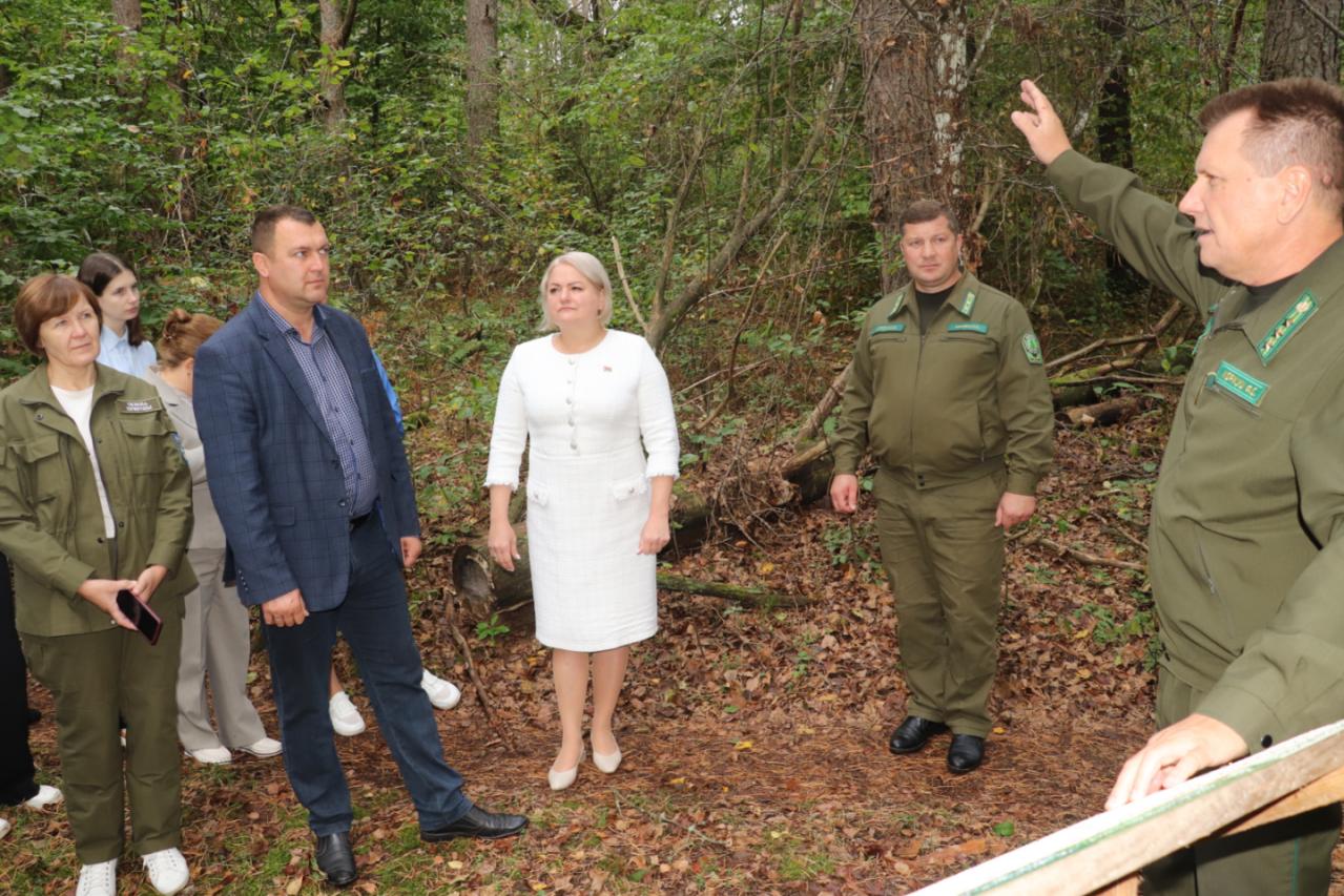 изображение viber 2025 10 01 13 33 54 396