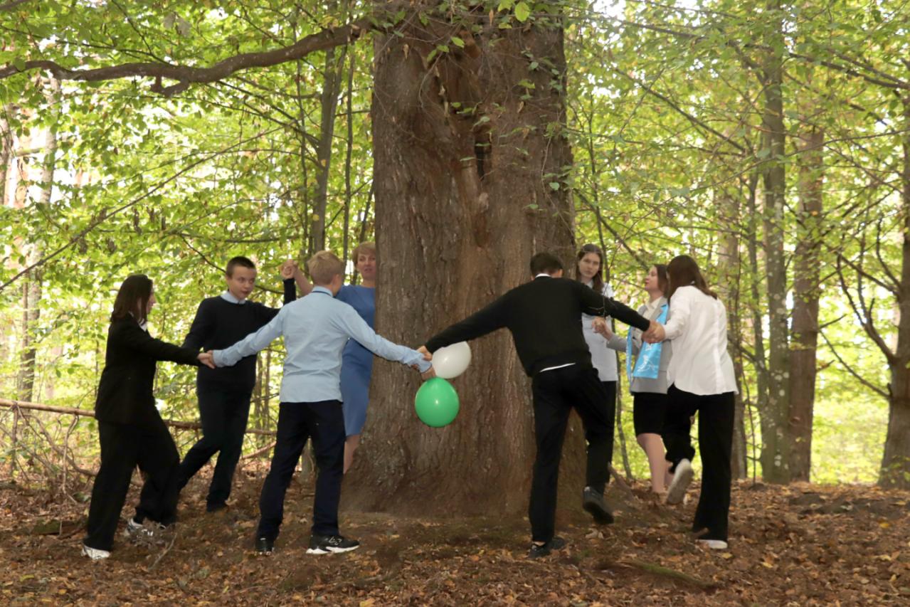 изображение viber 2025 10 01 13 33 56 518