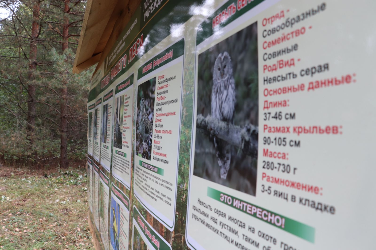 изображение viber 2025 10 01 13 33 59 983