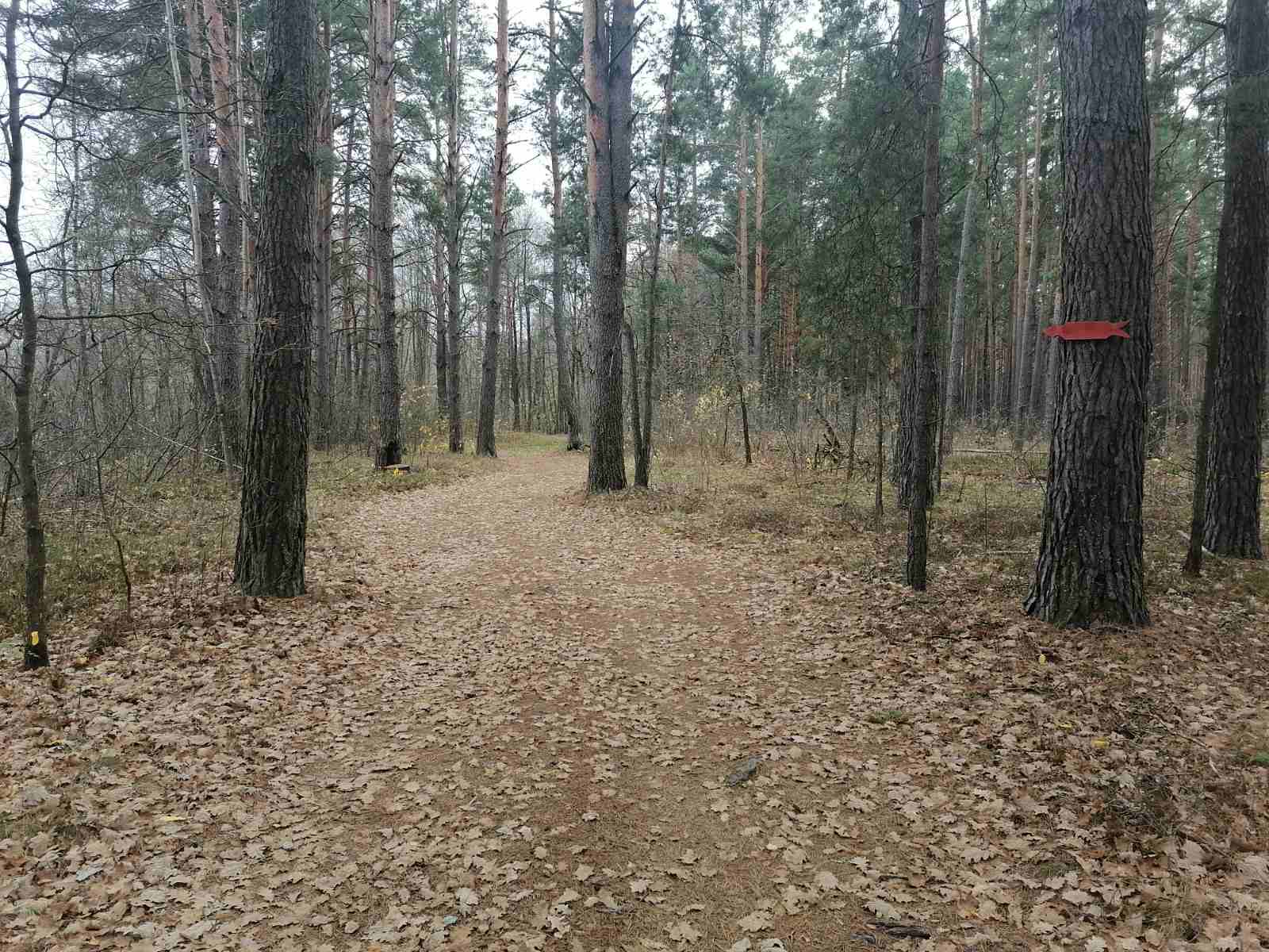 изображение_viber_2022-11-02_15-03-42-429.jpg