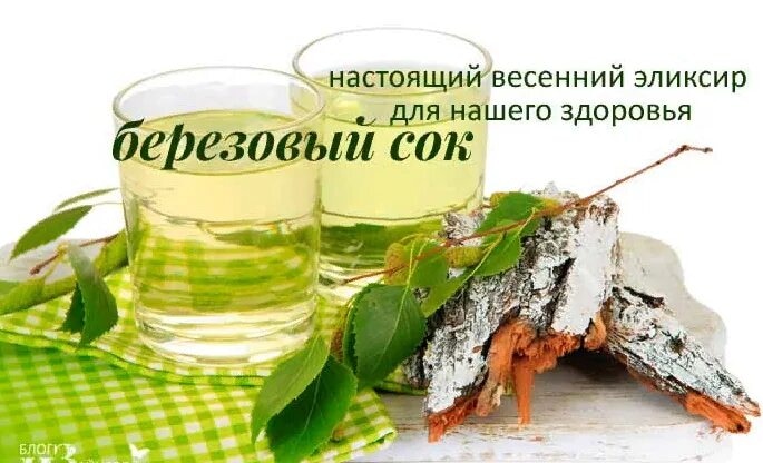 изображение_viber_2023-04-10_12-32-12-003.jpg
