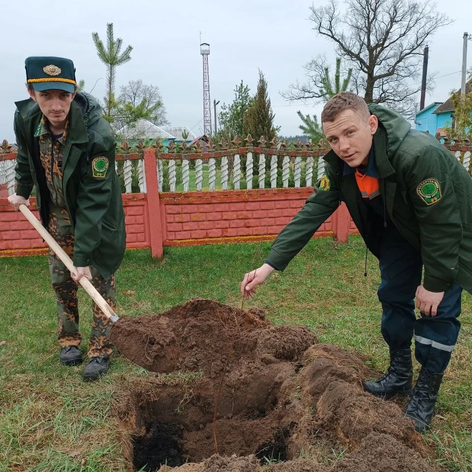 изображение_viber_2023-04-13_12-09-04-926.jpg